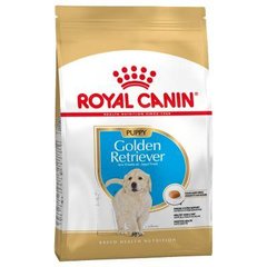 Royal Canin (Роял Канин) Golden Retriever Puppy сухой корм для щенков породы голден ретривер, 3 кг
