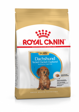 Royal Canin (Роял Канін) Dachshund Junior корм для цуценят такси, 1.5 кг