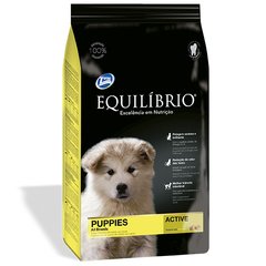 Equilibrio Puppies Medium Breeds сухой корм для щенков средних пород, 2 кг