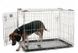 Savic Dog Residence клітина для собак, цинк, 6860347
