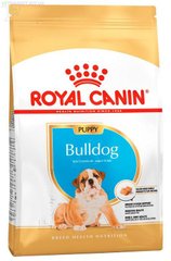 Royal Canin (Роял Канін) Bulldog Junior корм для цуценят англійського бульдога, 3 кг