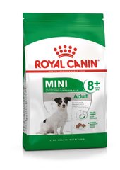 Royal Canin (Роял Канин) Mini Adult 8+ сухой корм для стареющих собак в возрасте от 8 лет и старше, 800 г