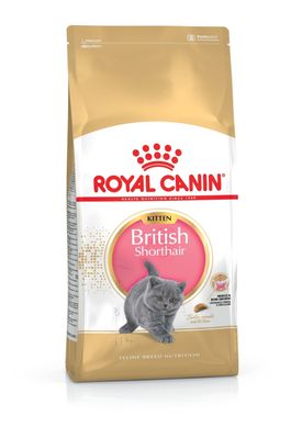 Royal Canin (Роял Канин) British Shorthair Kitten корм для котят британской короткошерстной кошки, 2 кг